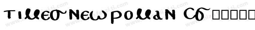 timesnewroman CS字体转换